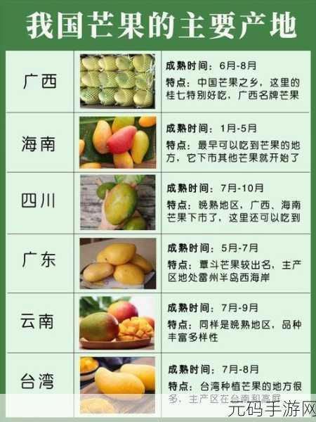 芒果精产国品一二三产区区别：“探索芒果精产国各大产区的独特风味与特点”