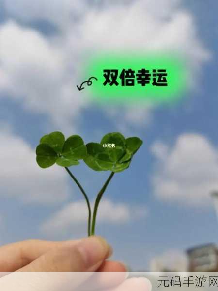 成品人和精品人的区别四叶草中如何体现:四叶草中的成品人与精品人的区别探讨