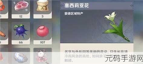 原神风花节经验书速刷秘籍大公开