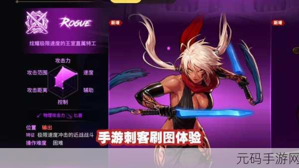 DNF手游刺客职业深度攻略与最新资讯速递