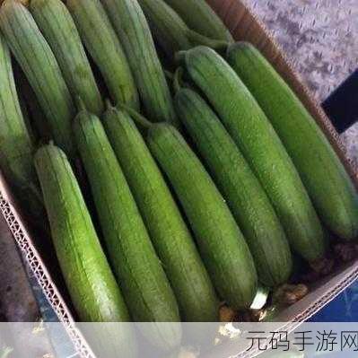 苏州晶体公司短app丝瓜aaa内容被曝光：1. 苏州晶体公司短app丝瓜aaa内容曝光事件详析
