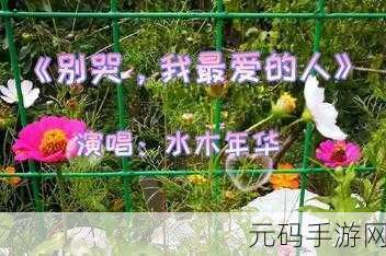 欧美和日韩MV最热门的一句:好的,以下是根据欧美和日韩MV热门句子拓展出的新标题,每个标题都不少于10个字: