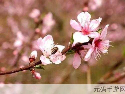 精美日产NV二线三线水蜜桃:1. 精致日产NV:引领二线三线水蜜桃市场新风潮