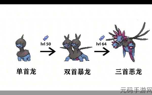 宝可梦大探险进化表图鉴全面解析，探索宝可梦世界的进化奥秘