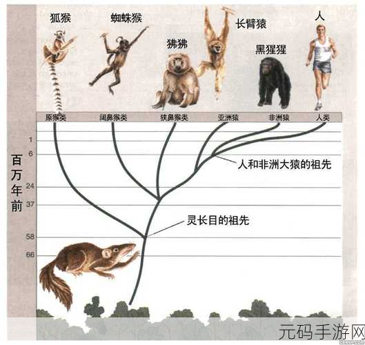 人物与动物交互：1. 人类与动物之间的深情纽带探秘