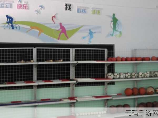 下课后的体育器材室叫什么:1. 下课后运动器材室的多元化利用