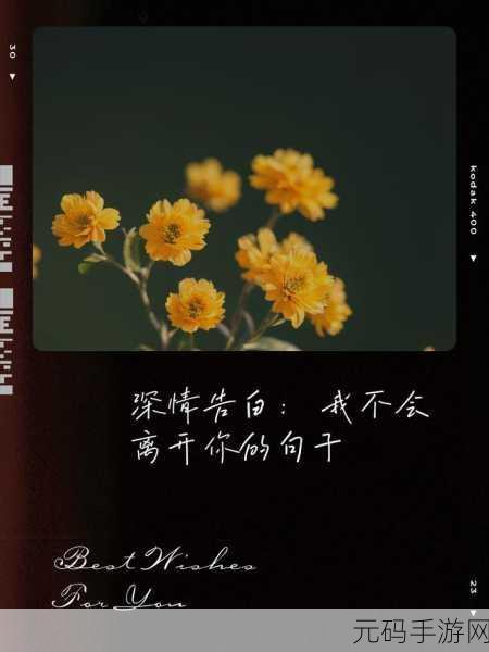 亲爱的叫大点声:1. 亲爱的,向世界大声倾诉我们的爱