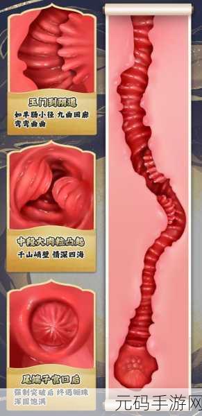 她开始慢迎迎合骊珠迎龙:1. 她的慢迎接,骊珠迎龙的新篇章