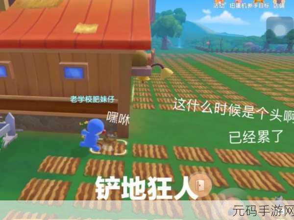摩尔庄园手游,机械狗的神奇作用全解析