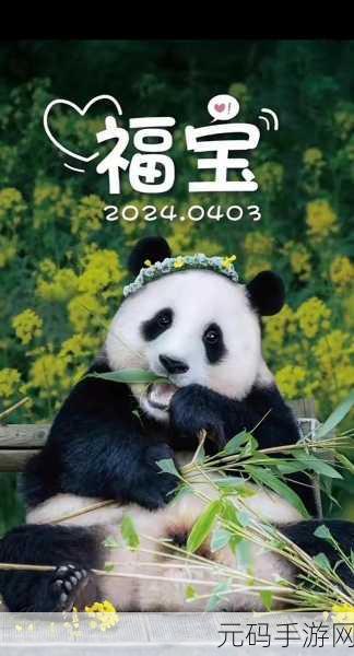 xo88.xy库福宝解锁版:1. XO88.xy库福宝解锁版全新功能全面解析