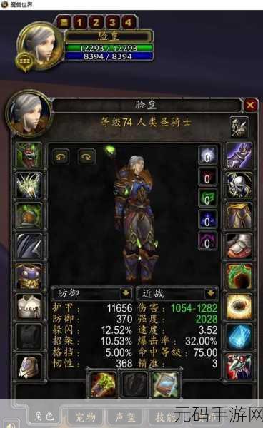 巫妖王之怒惩戒骑宏：1. 《巫妖王之怒：惩戒骑士的荣耀与重生