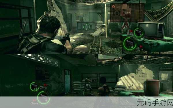 生化危机 5 光盘镜像版，局域网双人联机秘籍大公开