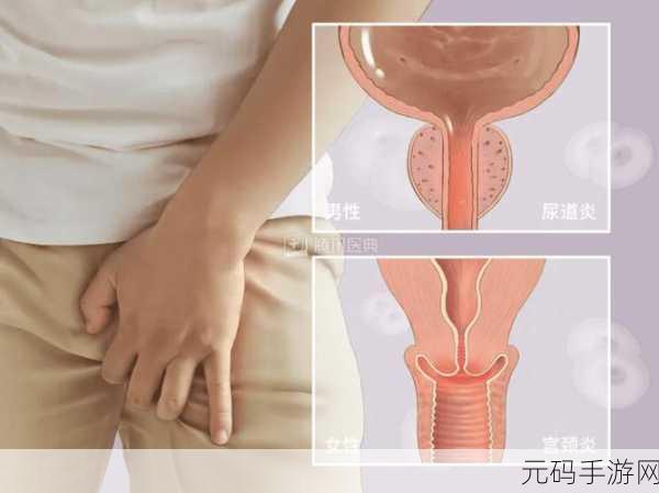 一动下面就有水一样的分泌物：1. ＂唾液的秘密：一动就有水样分泌物解析
