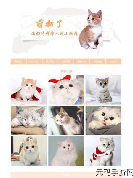 DW成品网站成品目前恢复正常:1. DW成品网站全面恢复,用户体验再升级