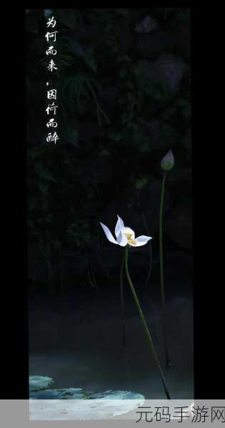 女人的哪个部位称莲花:1. "莲花绽放:女人内心的温柔与力量