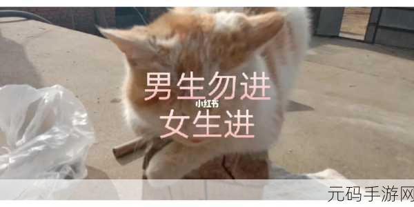 男生女生一起努力生猴子：1. 男生女生携手共创未来，努力实现梦想