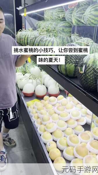 水蜜桃与水蜜桃V2：1. 水蜜桃与水蜜桃V2的奇妙对比探讨