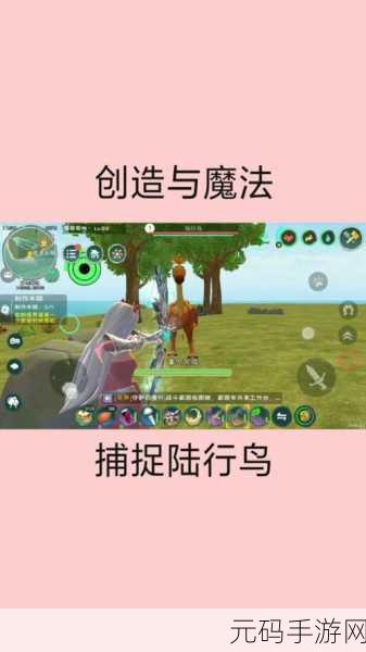 创造与魔法手游资讯，全面解析如何驯服陆行鸟