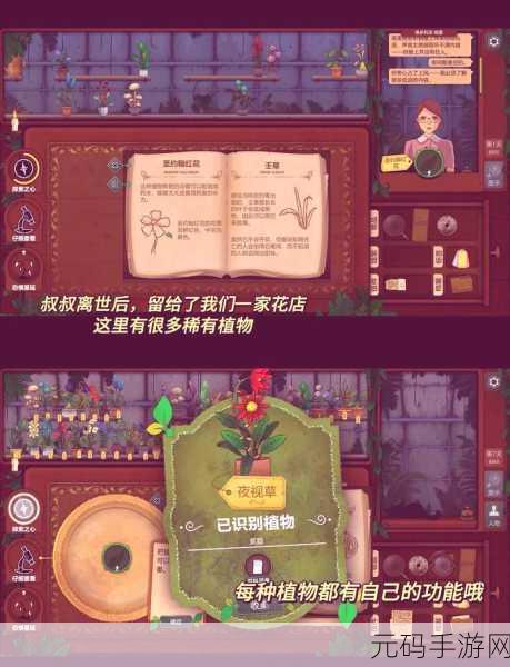 探秘店小二的奇遇：1. 探秘店小二的奇幻冒险之旅