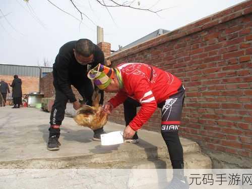 炖肉计-是今海棠：炖肉计：海棠花下的美味故事与烹饪哲学