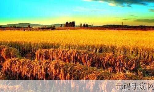 丰年经继拇：根据《丰年经》拓展出的新标题可以是：