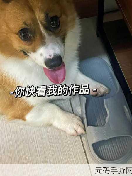 3个人一起玩3Q感详细经过：当然可以！以下是一些关于三个人一起玩“三Q感”的详细经过的拓展