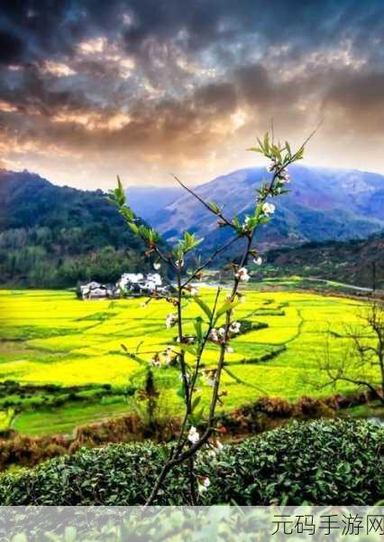 春天里最动人的风景：1. 春天的诗意：花海与绿树交织的美丽画卷