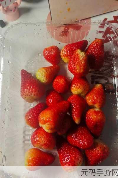 久久草莓还是九九草莓:1. 春日里的丰盈,草莓的甜蜜之旅