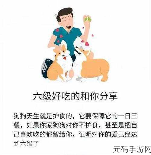 狗狗让我上瘾戒不掉怎么办：1. 如何摆脱对狗狗的依赖与眷恋