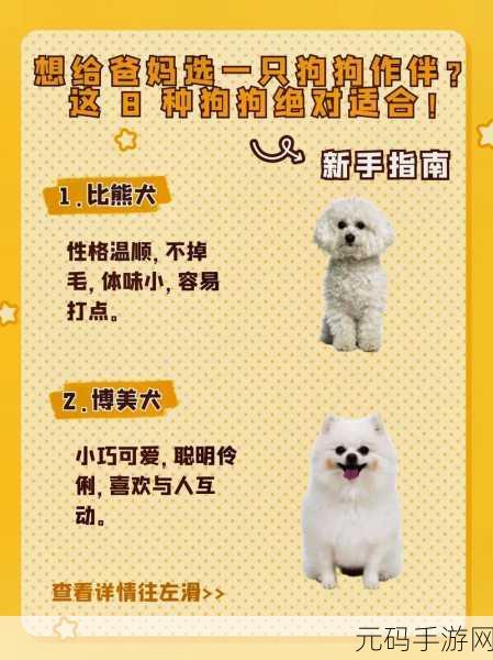 哪种狗最适合女人自己用：1. 适合女性养的狗种推荐与特点解析