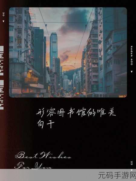 图书馆的女朋友：1. 《在图书馆邂逅的爱恋与心灵交织