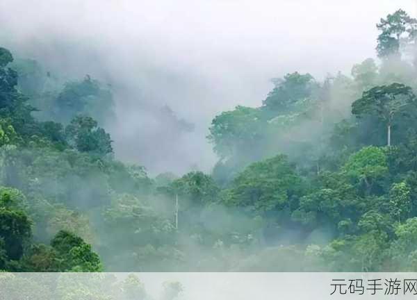 把头埋在茂密的丛林中：1. 探索茂密丛林的神秘世界