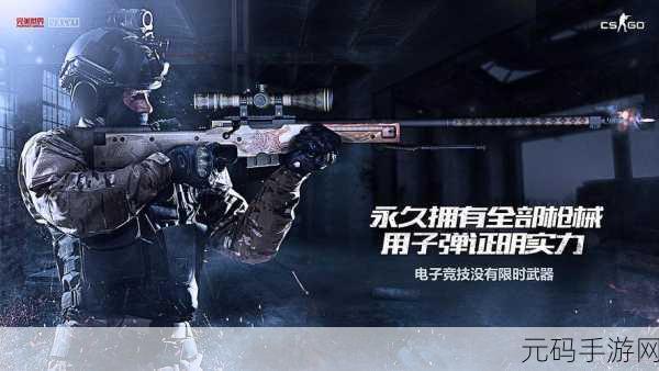 高清大片csgo类型多多：当然可以！以下是一些基于《CS：GO》类型的高清大片标题扩展建议：