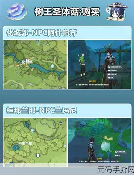 原神,树王圣体菇采集绝佳路线大揭秘