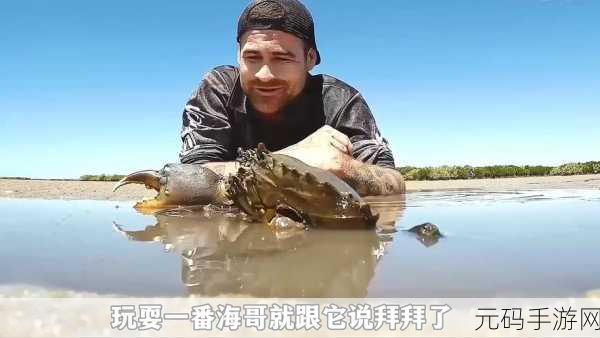 和老妈在荒岛生存正版下载：1. 《荒岛求生：与妈妈携手共度艰难时光