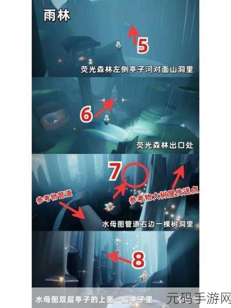 光遇雨林神秘山洞位置揭秘，探索小王子任务的奇幻之旅