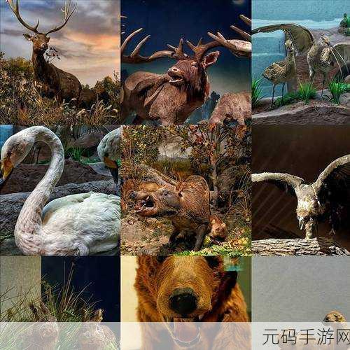 大地资源在线观看免费高清站：1. 大地资源探秘：揭开自然的神秘面纱