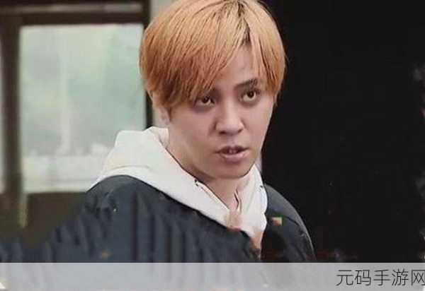 5g影讯在线观看罗志祥：罗志祥5G影讯：全新视界，尽享无限精彩体验