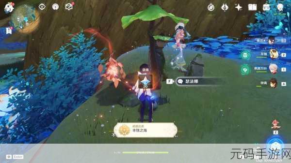 原神隐藏任务净觉花攻略详解