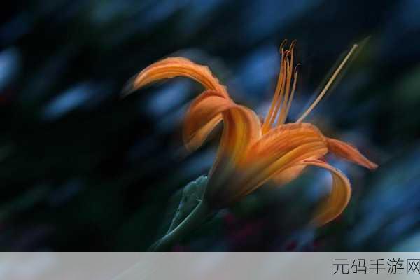 香蕉久久丫精品忘忧草产品:1. 香蕉久久丫精品,带你享受忘忧草的自然魅力