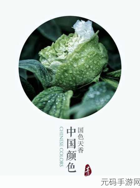 日韩一卡2卡三卡4卡国色天香：1. 探索日韩一卡通的无限可能与优势