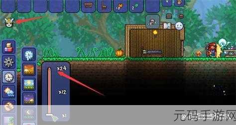 探秘泰拉瑞亚，花苞现身何处大揭秘