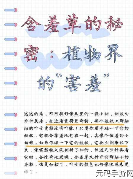 含羞草实验室隐藏路线：1. 含羞草实验室隐秘通道探寻之旅