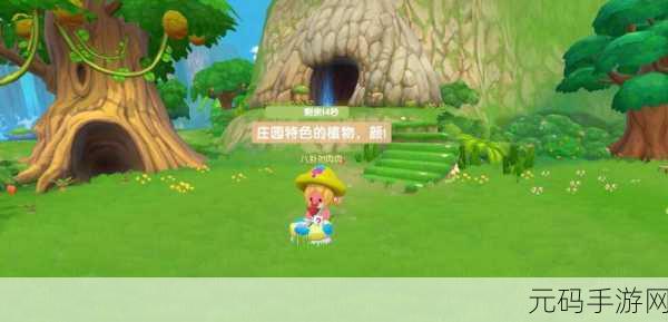 摩尔庄园手游，向导桌完美摆放秘籍大揭秘