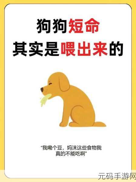 狗狗的东西又硬又烫又臭：1. 狗狗的奇特宝物：硬烫臭之谜