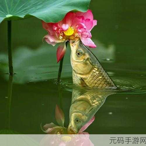 鲤鱼喝水姿势图片：1. 鲤鱼悠闲饮水，展现自然之美