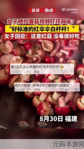 蘑菇视频红色logo：1. 蘑菇视频：发现更多精彩与创意的世界