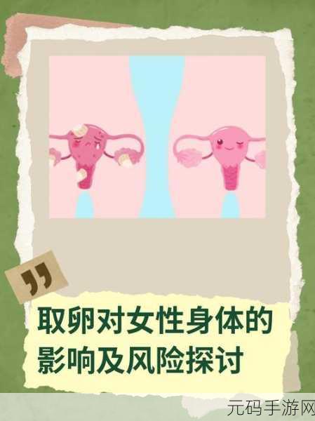 探讨女性偏好：1. 女性偏好的多样性与社会影响探讨
