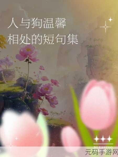 人与狗的互动：1. 人与狗的心灵对话：建立深厚情感纽带