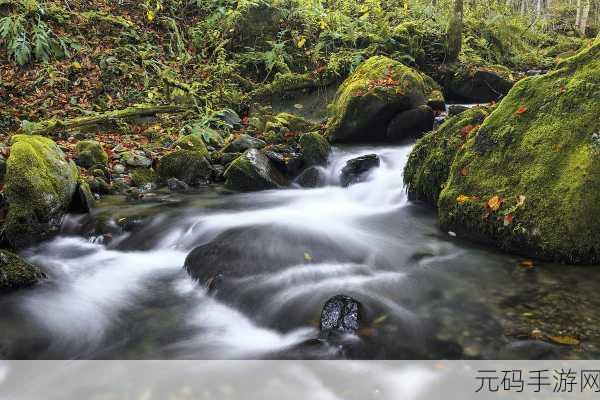 黄龙直捣溪水潺潺:1. 黄龙奔腾,溪水潺潺的自然奇观